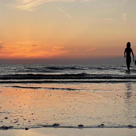 Modern Near Beach, Forest